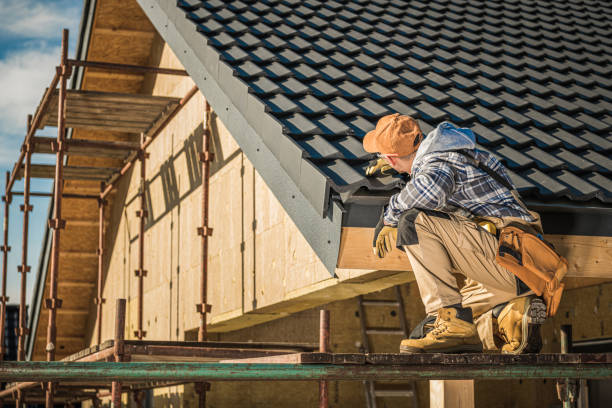 Roof Gutter Cleaning in Central City, IA