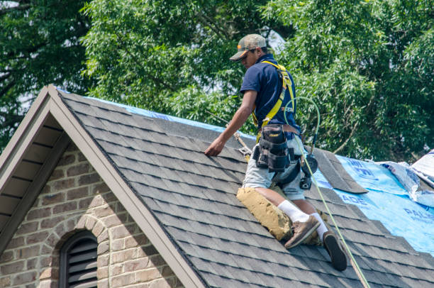 Best New Roof Installation  in Central City, IA